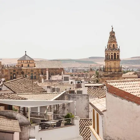 Entre El Centro Y La Mezquita Totalmente Climatizado Parking Gratuito Cordova